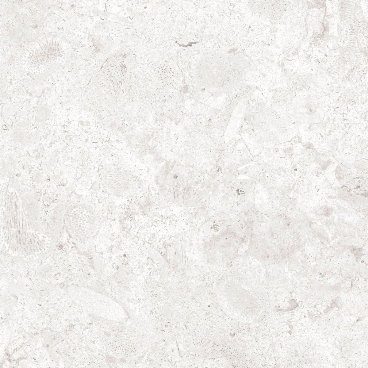 Klinker Coralina Perla Matt 60x60