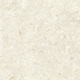 Klinker Gotlandssten Kalksten Bone 60x60