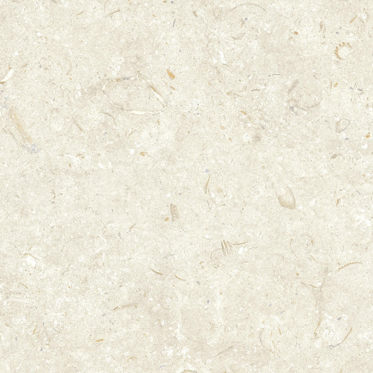 Klinker Gotlandssten Kalksten Bone 60x60