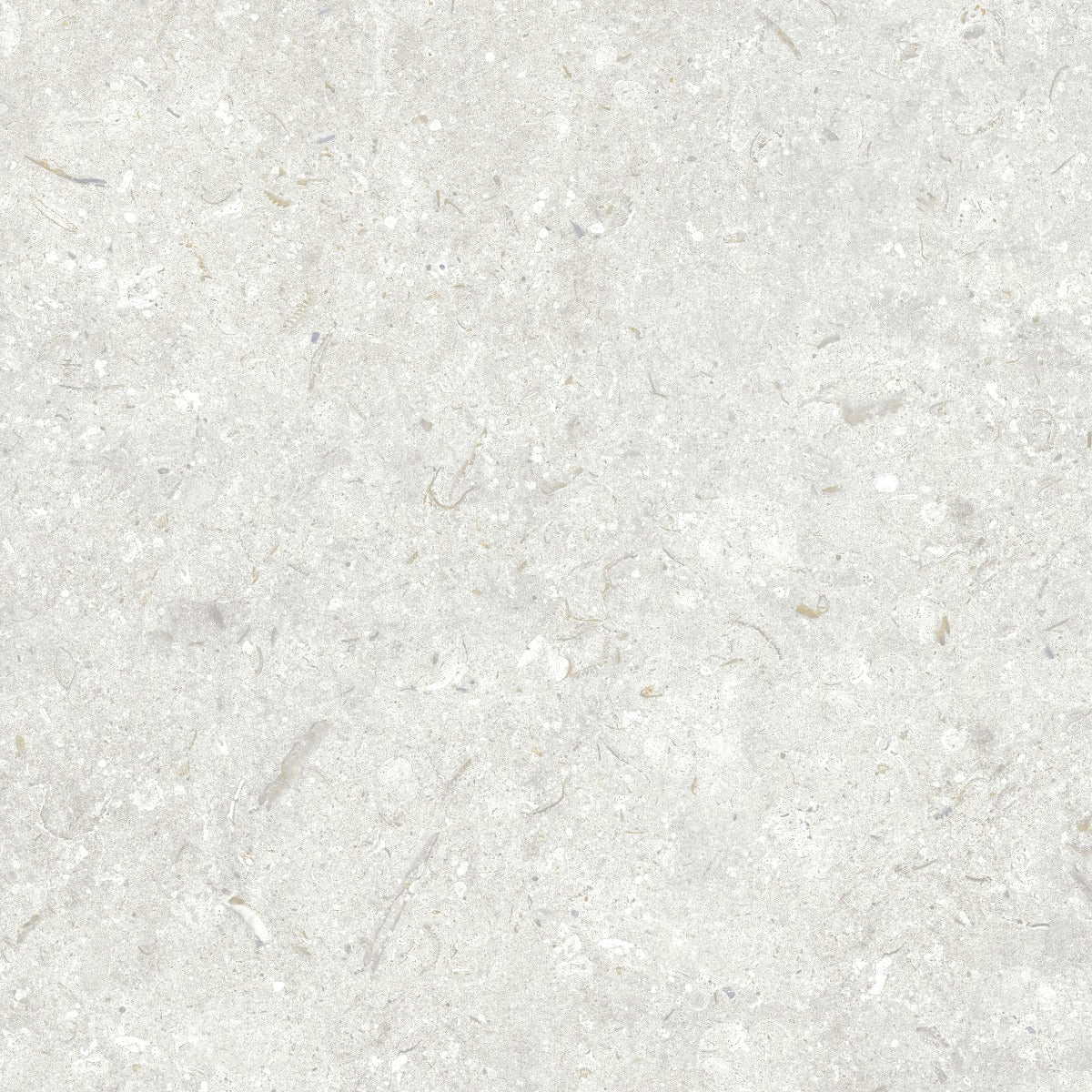Klinker Gotlandssten Kalksten Perla 60x60