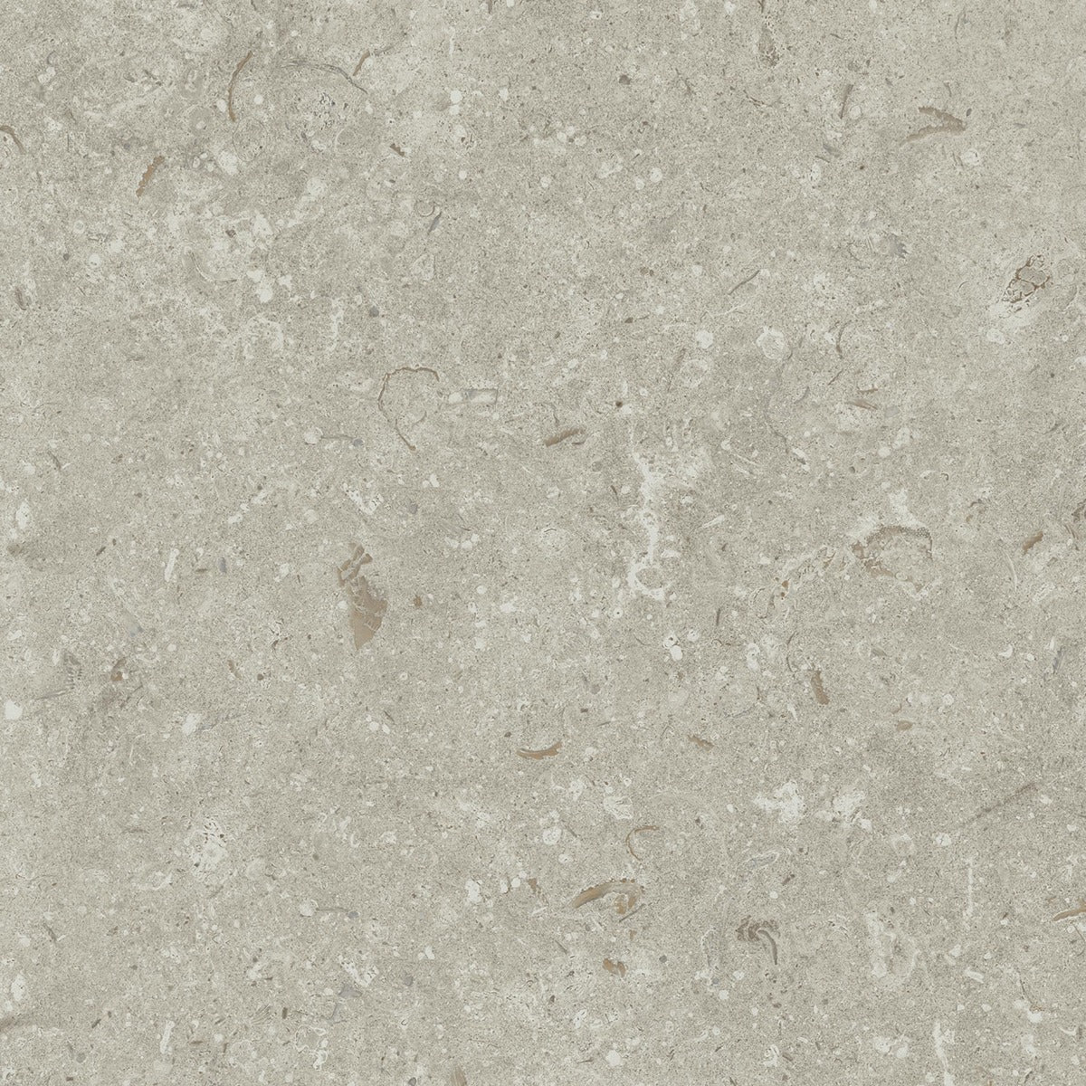 Klinker Gotlandssten Kalksten Gris 60x60