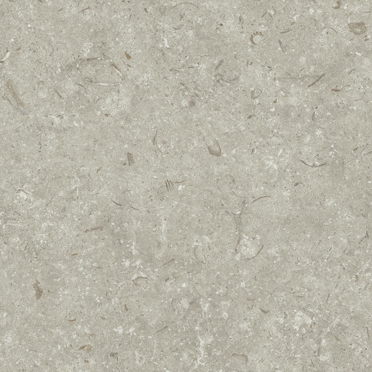 Klinker Gotlandssten Kalksten Gris 60x60