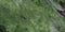 Swatch for Klinker Amazona Jade Marmor Blank 60x120