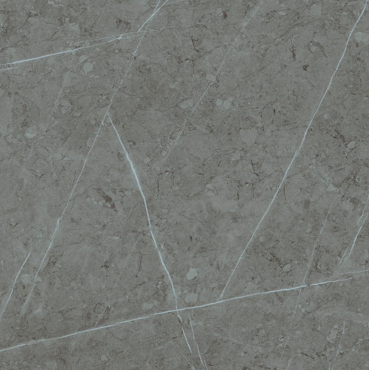 Klinker Altamura Gray Blank Marmor 60x60